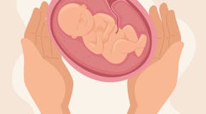 Tout sur l’exposome du fœtus : un concept à connaître en attendant bébé