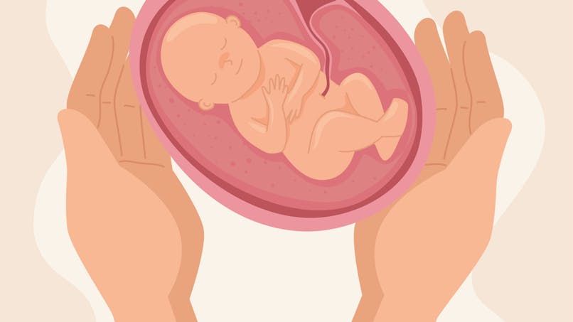 Dessin de foetus in utero, avec des mains protectrices autour