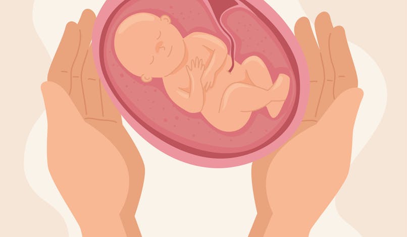 Tout sur l’exposome du fœtus : un concept à connaître en attendant bébé