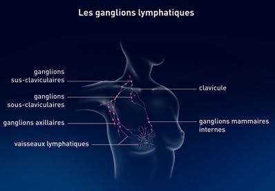 Schéma illustratif des localisations des ganglions dans et autour du sein