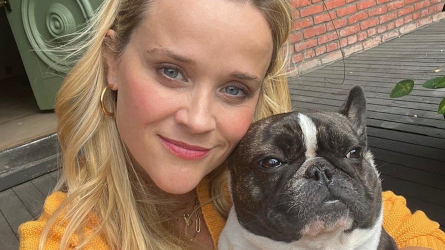 Reese Witherspoon avec son chien. 