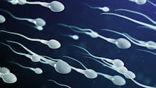 Don de sperme : un homme soupçonné d’être le père de… 550 enfants  !