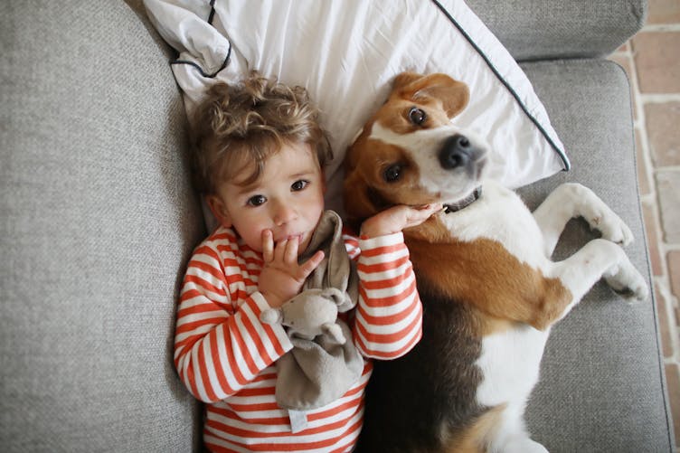 Enfant sur un canapé avec un chien 