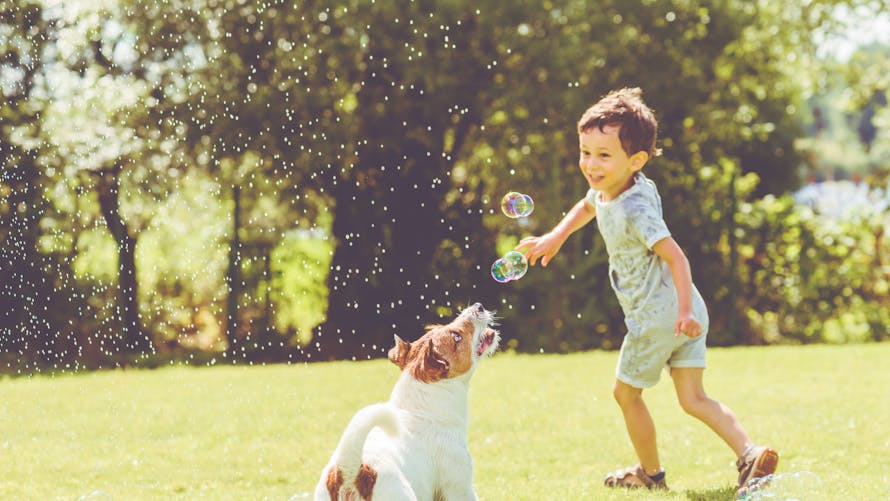 Un enfant joue avec un chien en extérieur, avec des bulles