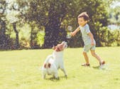 Pourquoi ne faut-il pas laisser un enfant de moins de 4 ans seul avec un chien, selon une étude ?