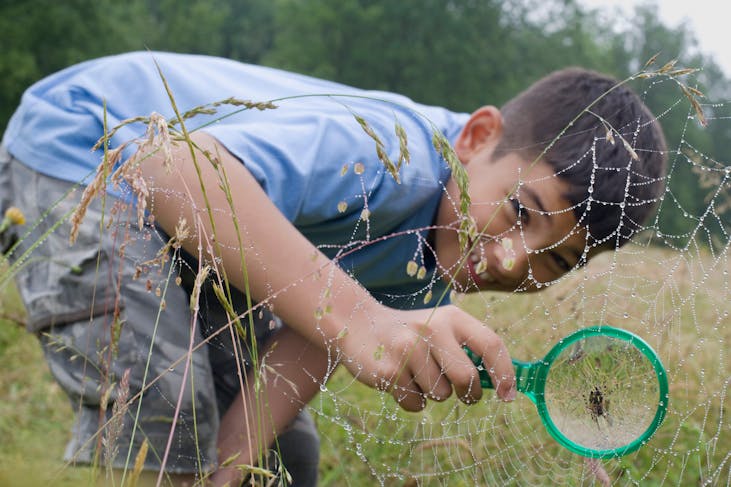 Un garçon de huit ans se fait mordre volontairement par une araignée  mortelle car il veut devenir Spider-Man 