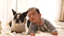 La réaction en vidéo d’une chienne en rencontrant le nouveau-né de la maison fait fondre les internautes !
