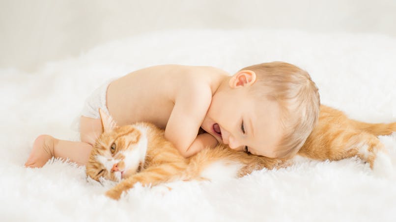 bébé couché contre son chat