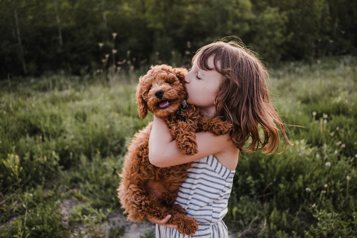 Une fillette de 2 ans disparait, la police la retrouve en forêt endormie  sur son chien | PARENTS.fr