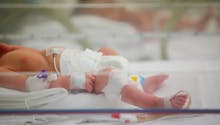 Les services de soins critiques pour les nouveau-nés dans un état « très préoccupant », selon un rapport
