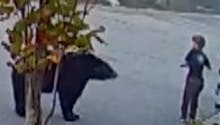 L’incroyable sang-froid de ce petit garçon face à un ours (Vidéo)