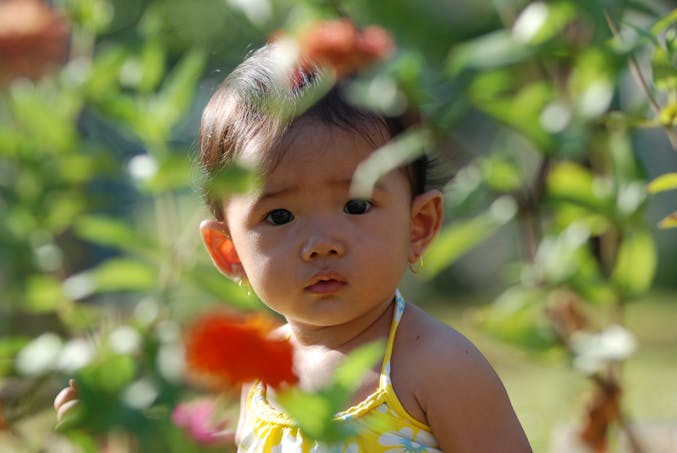 enfant fille dans les fleurs