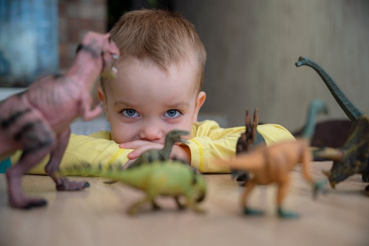 petit garçon et dinosaures
