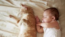 Chat et bébé : comment éviter tout danger avec un tout-petit ?