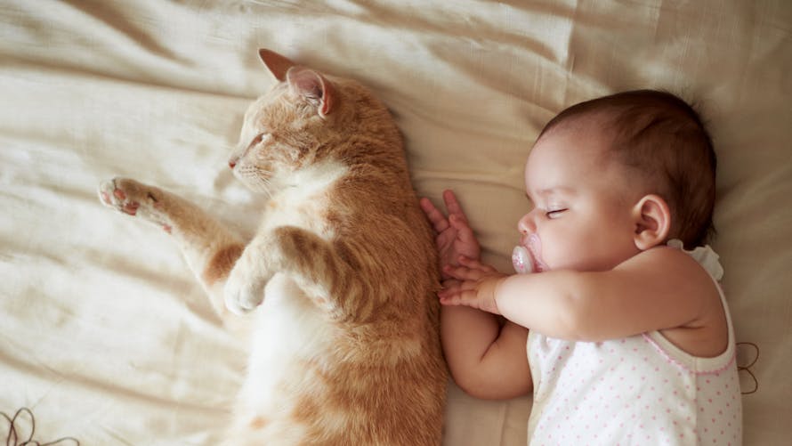 un bébé faisant la sieste dans un lit avec un chat roux