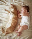 Chat et bébé : comment éviter tout danger avec un tout-petit ?