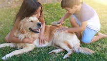 Deux spécialistes expliquent l’effet bénéfique d’un animal de compagnie pour les enfants autistes et leurs proches