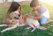 Deux spécialistes expliquent l’effet bénéfique d’un animal de compagnie pour les enfants autistes et leurs proches