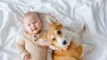 La chronique de SerialMother : vaut-il mieux avoir un chien ou un bébé ?