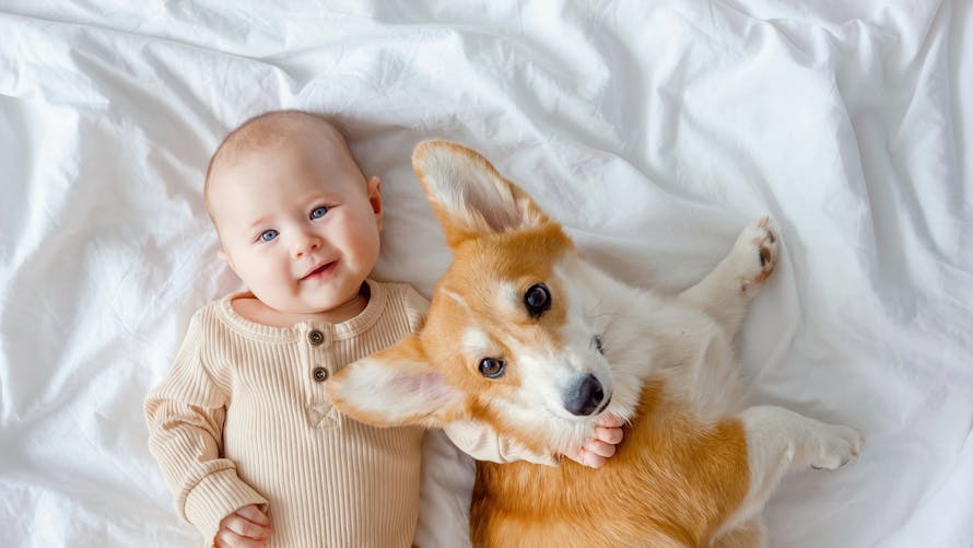 chien et bébé