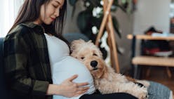 Mon chien est-il capable de savoir que je suis enceinte ?