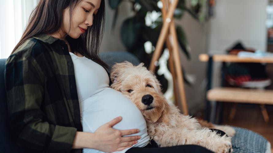 femme enceinte et son chien
