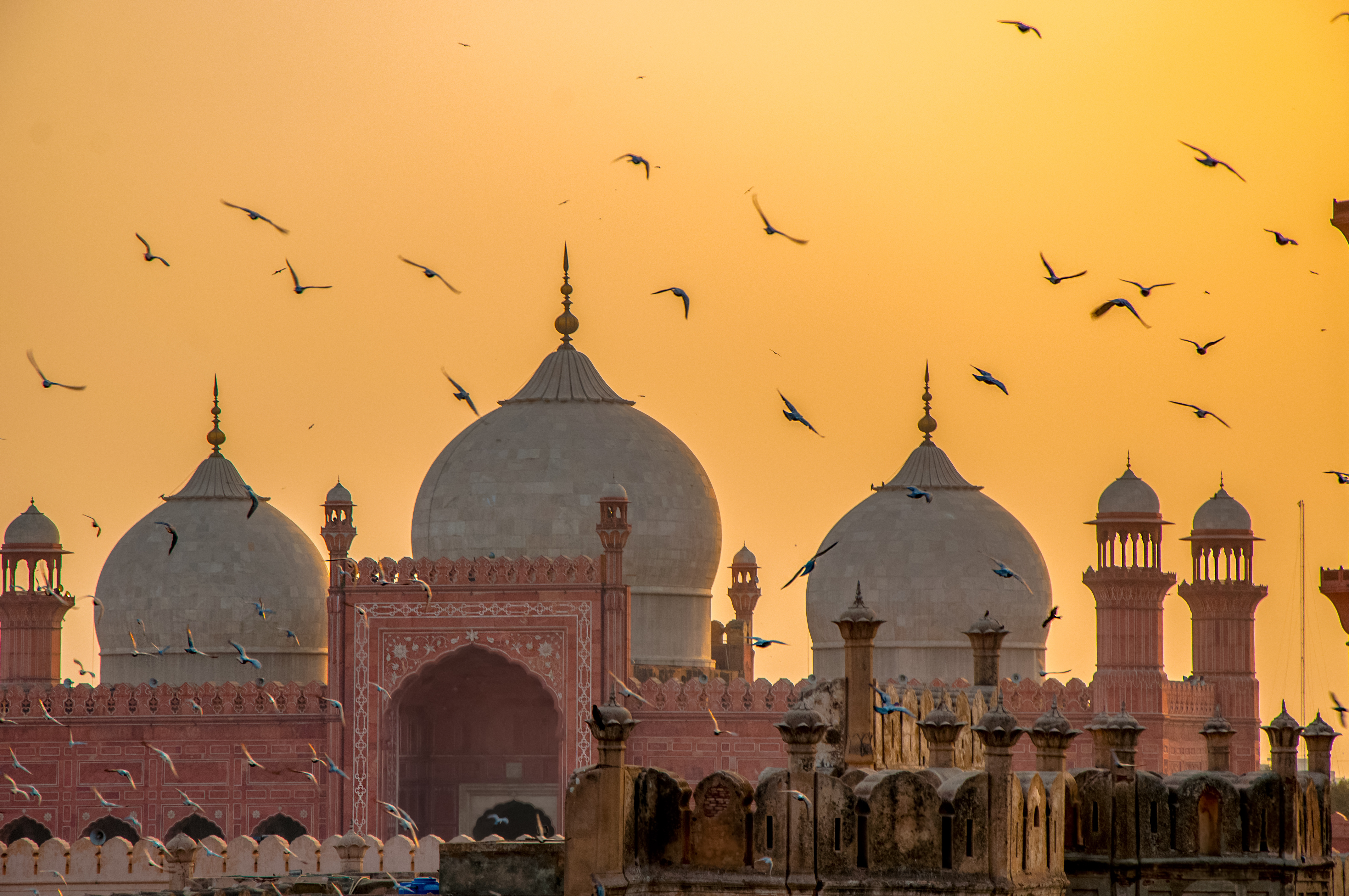 pakistan.jpg?auto=format%2Ccompress&cs=t