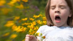 Voici pourquoi les allergies au pollen sont de plus en plus fréquentes