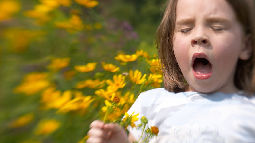 Petite fille éternuant dans un champ de fleurs