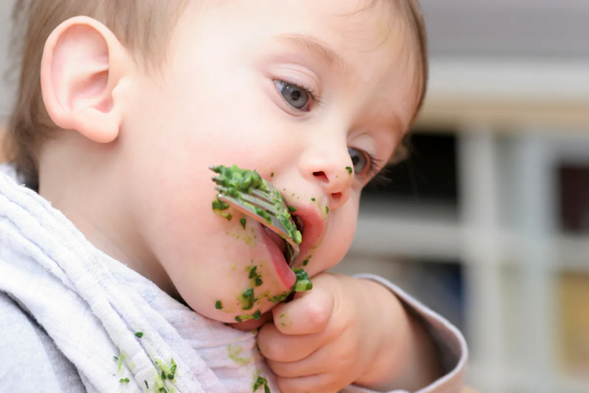 Random Load Balance À partir de quel âge un bébé peut-il manger des épinards ? | Parents.fr