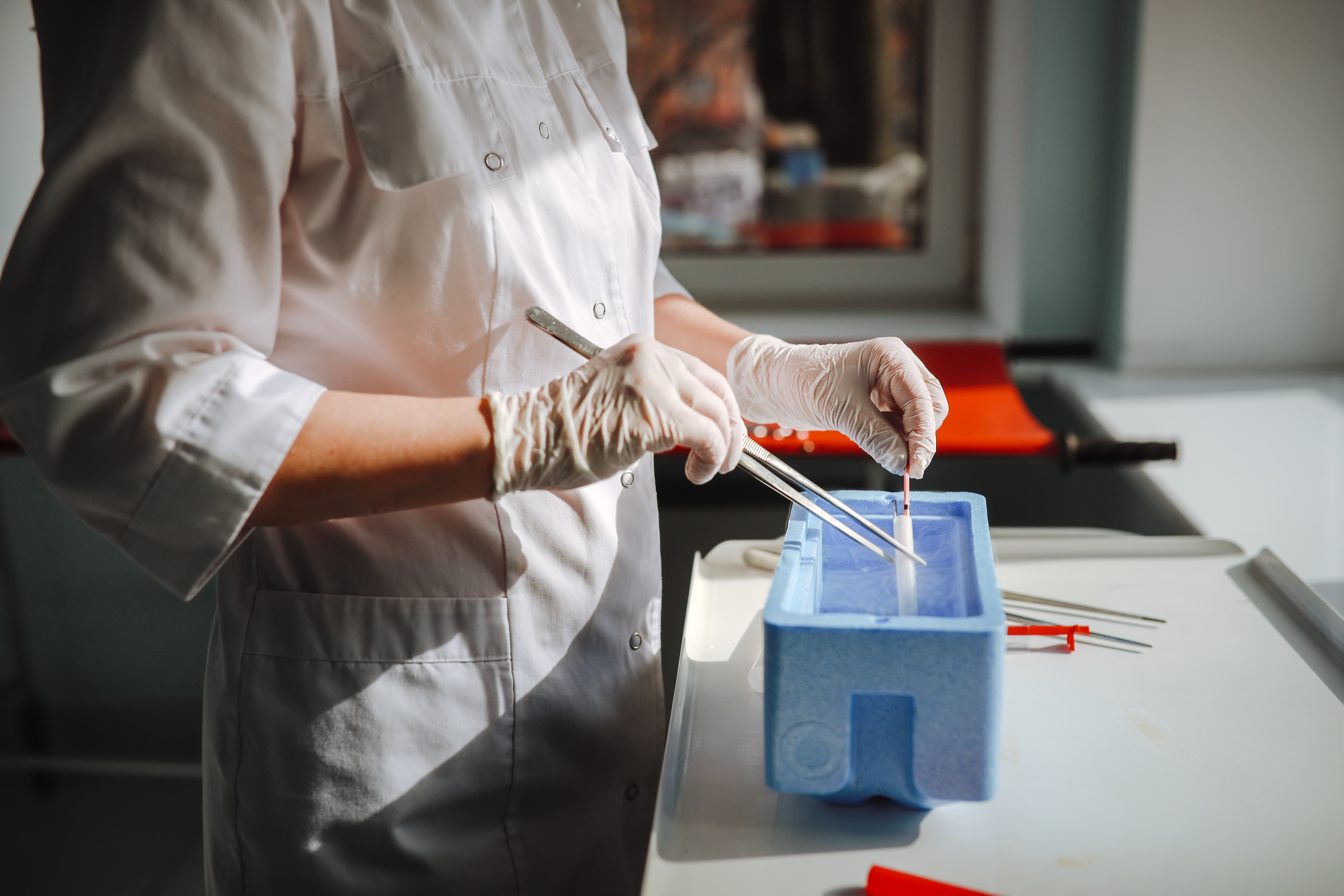 Bonne nouvelle pour les FIV : cette découverte pourrait augmenter les taux de réussite