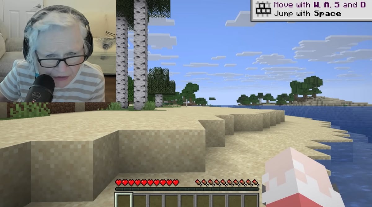 A 81 ans, cette grand-mère joue à Minecraft pour sauver son petit-fils atteint d'un cancer