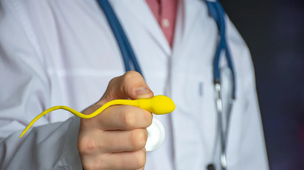 Infertilité masculine : comprendre les causes et améliorer la fertilité ...