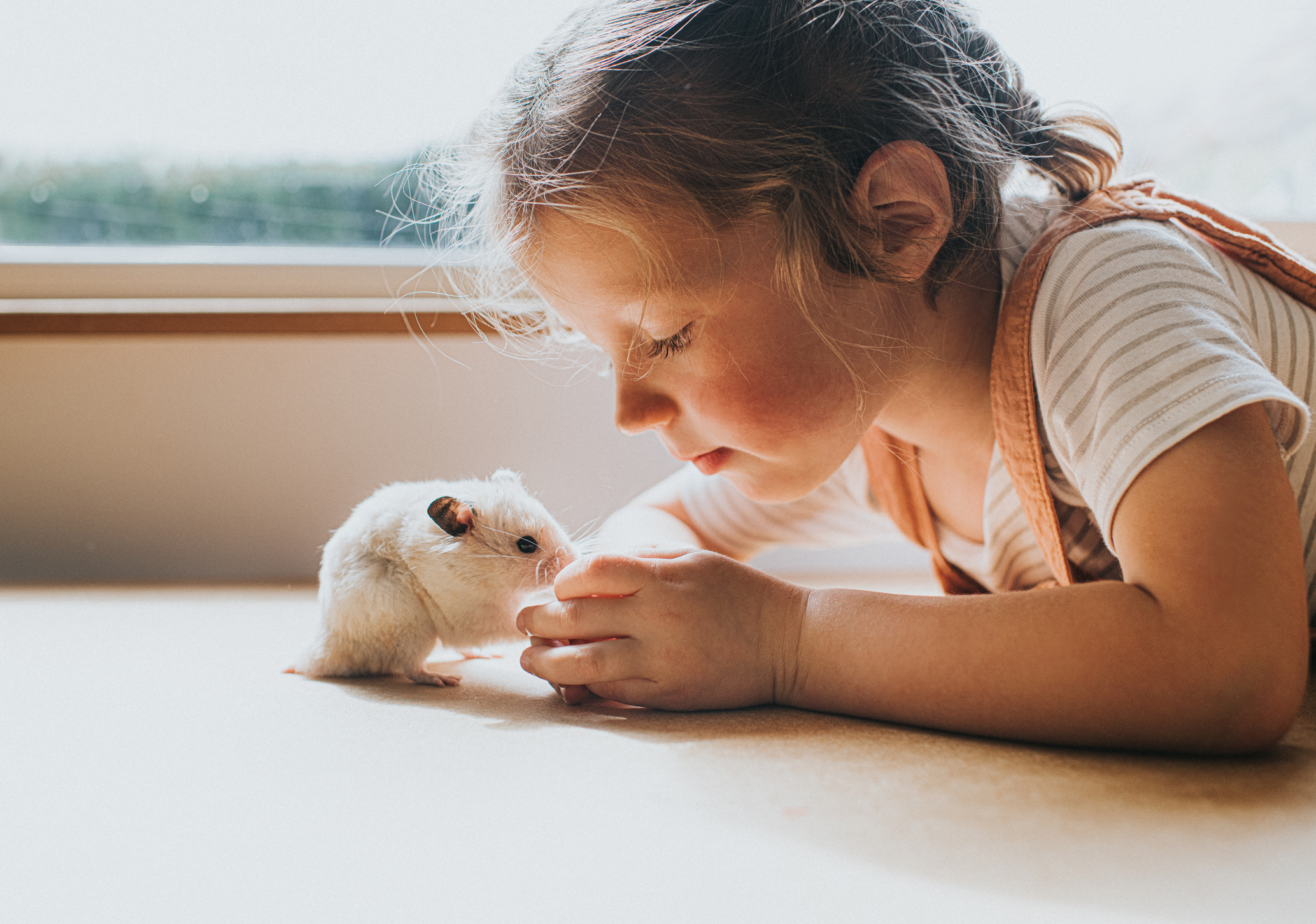 Ce prénom féminin a été créé à partir de deux prénoms