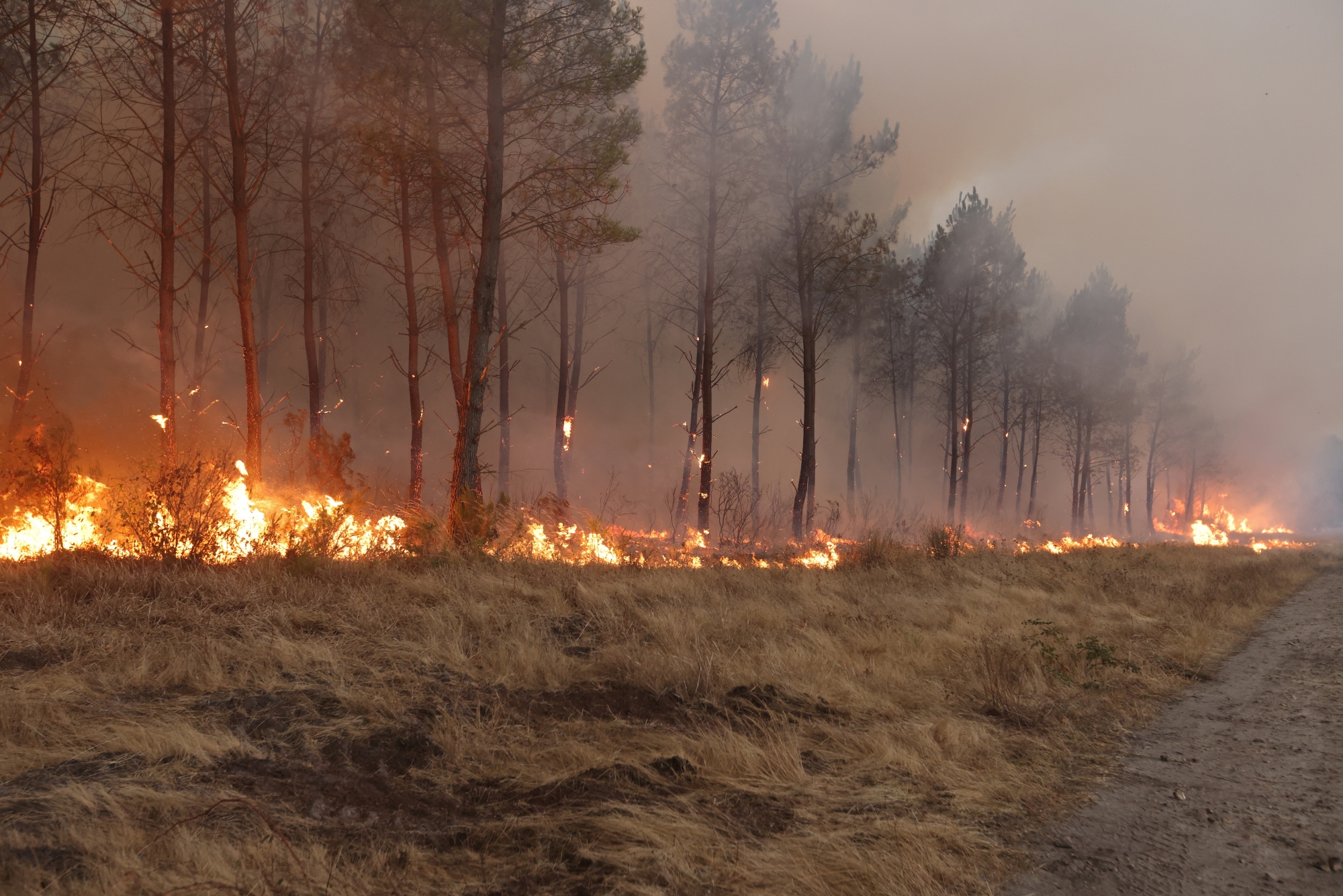 “Elle chantait pour éloigner le feu” : le récit bouleversant d’une maman qui a fui les incendies avec sa petite fille