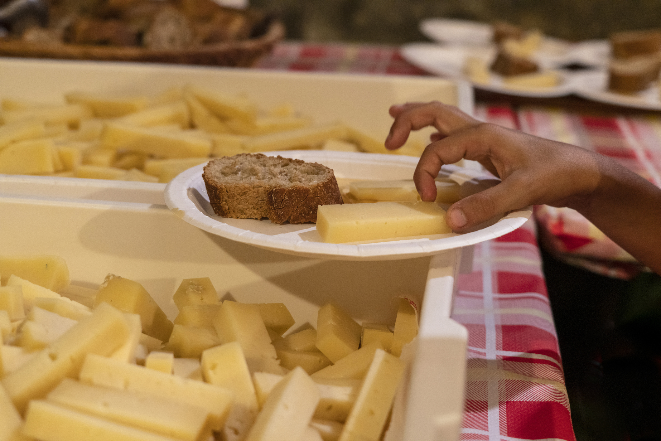 Fromage contaminé : un drame qui relance le débat sur le lait cru en Italie
