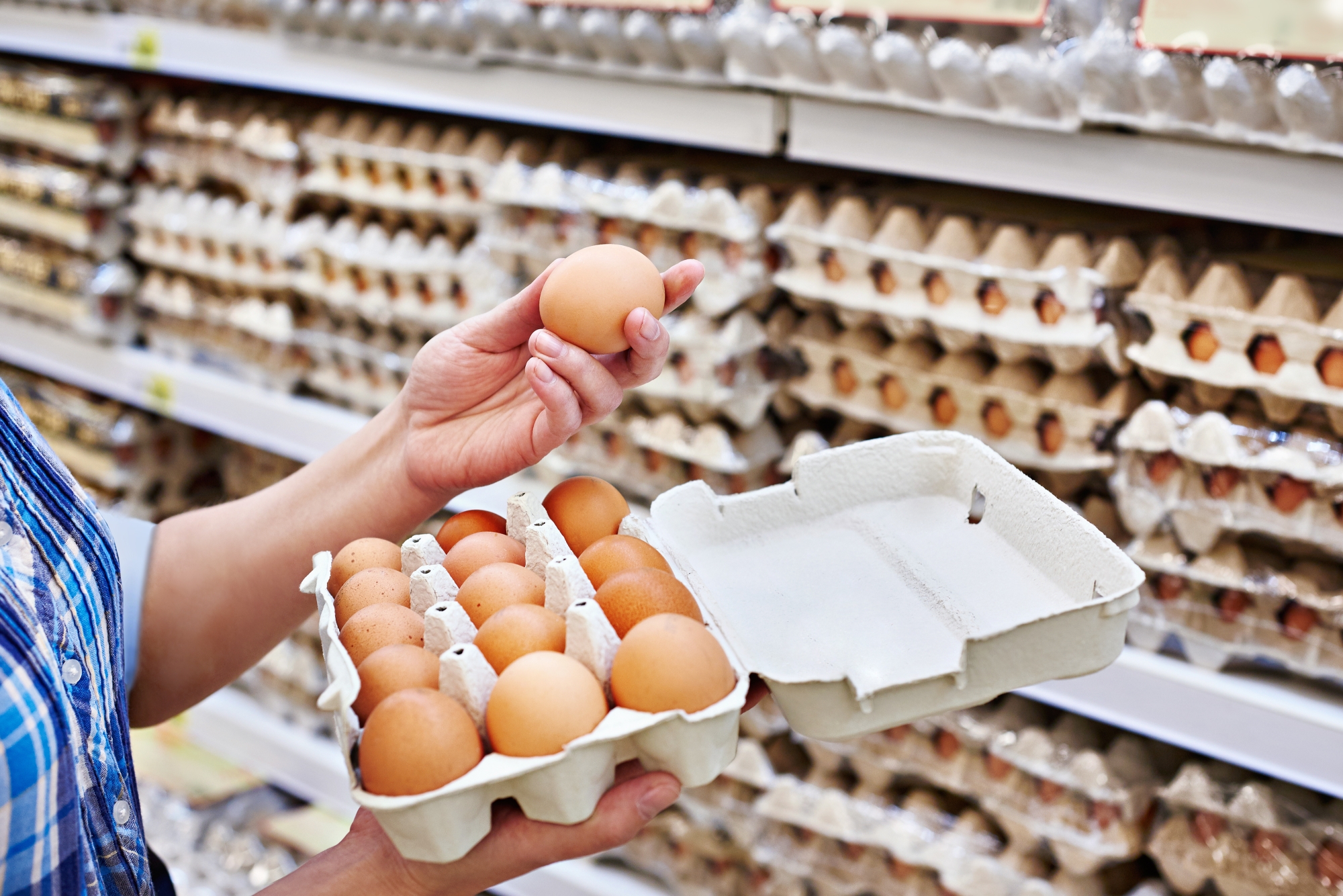 Des oeufs suspectés d’être à l’origine de 306 cas de salmonellose en Belgique : la France en état d’alerte