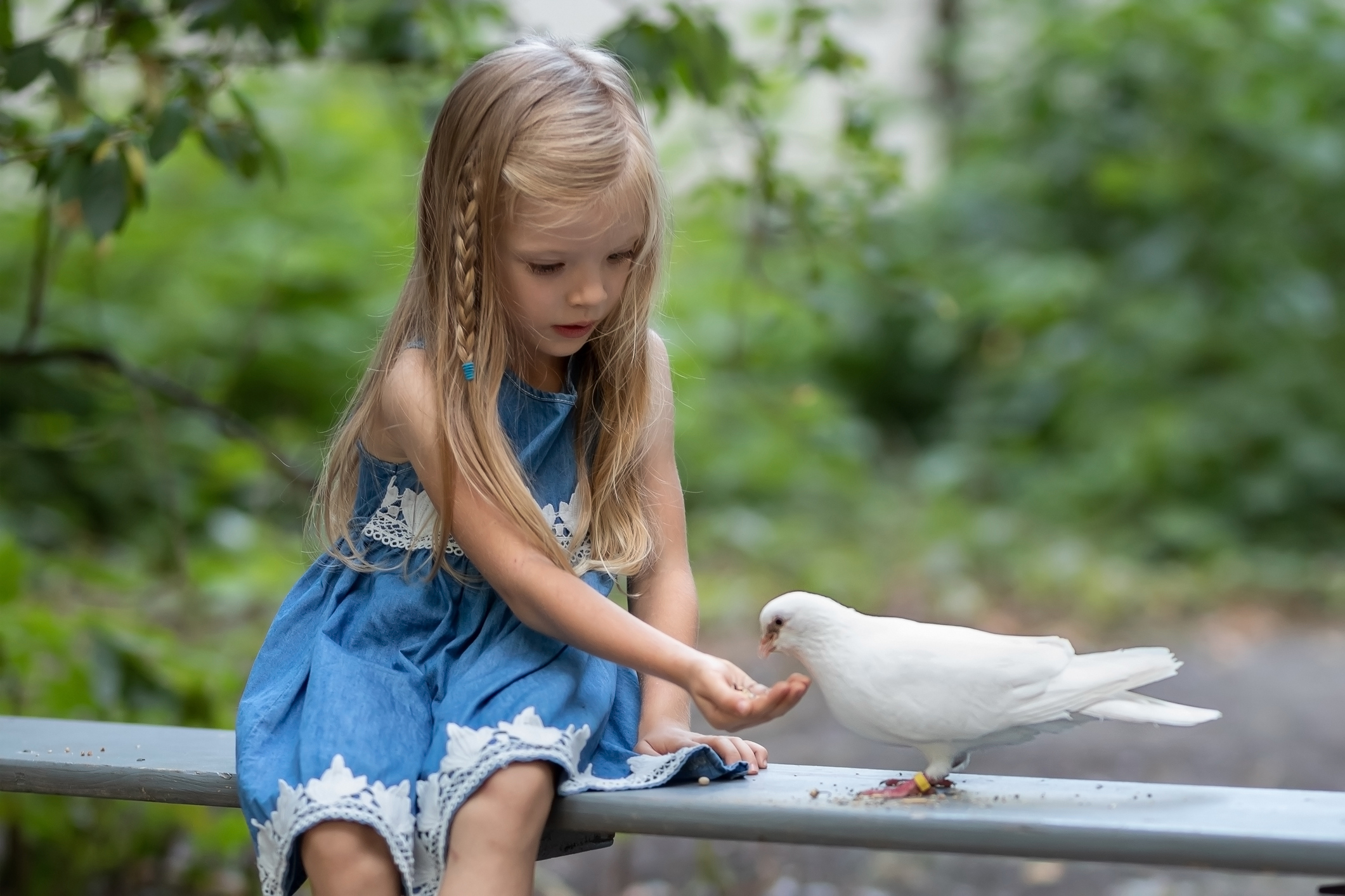 Ce prénom féminin anglais est celui d’un oiseau qui apporte la paix