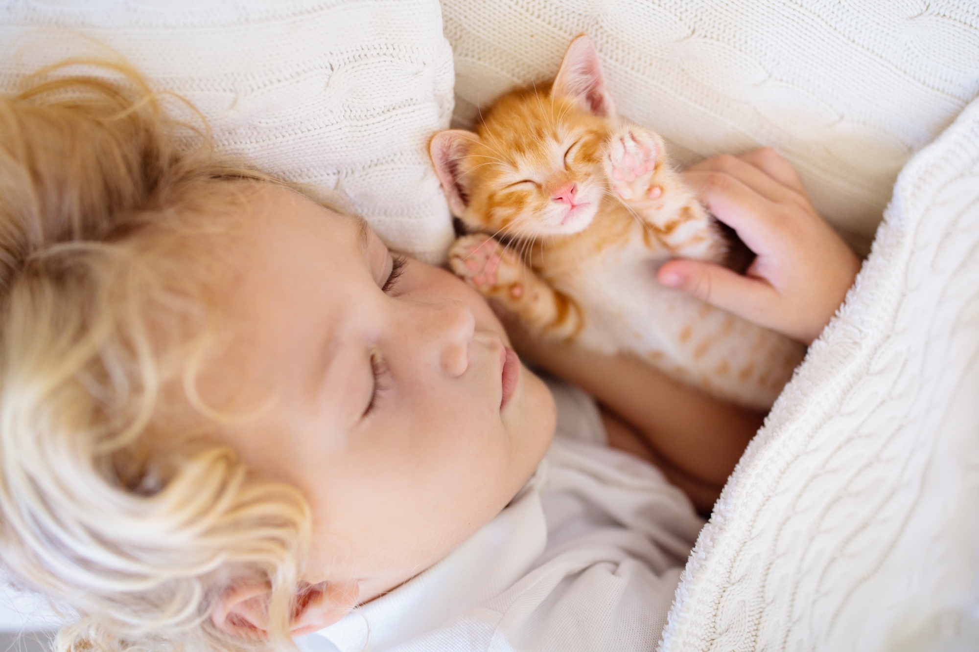 Dormir avec son chien ou son chat : ce que cela peut changer au sommeil d’un enfant