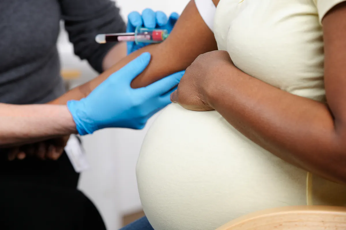 L’anémie pendant la grossesse aurait des conséquences sur le volume du cerveau du bébé