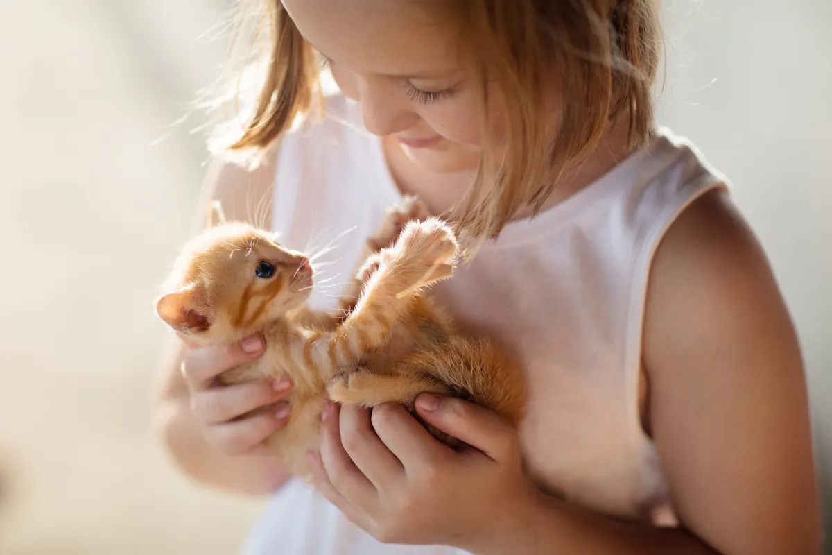 10 prénoms originaux en B à donner à son chaton en 2026