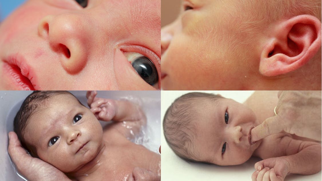 Nouveau Ne Deja Les 5 Sens En Eveil Parents Fr Nouveau Ne Deja Les 5 Sens En Eveil Parents Fr