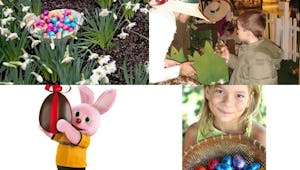 Chasses aux œufs 2011 : animations de Pâques à croquer en
  famille