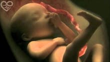 Vidéo : le développement de bébé in utero en 4 minutes !